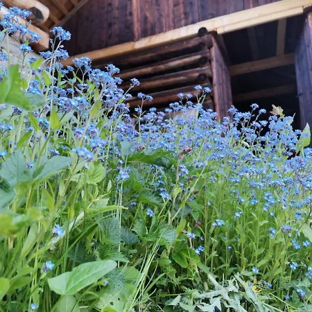 Oegghof 222 Tatil Evi *