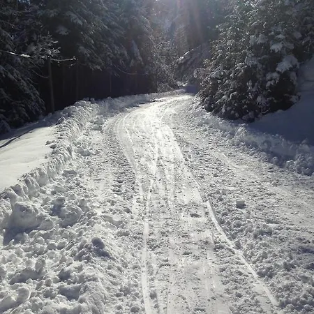 Tatil Evi Oegghof 222 *