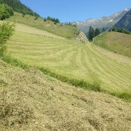 Oegghof 222