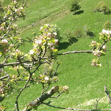Oegghof 222 Vakantiehuis Kaunertal