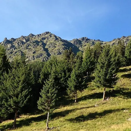 Ogghof 222