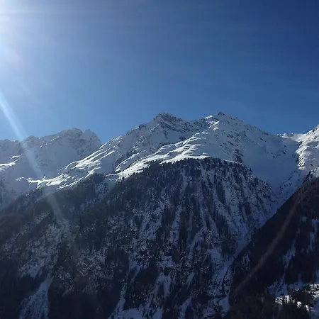 Ogghof 222