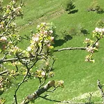 Oegghof 222 Dom wakacyjny Kaunertal